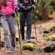 Illustration for article titled Hot Deal! 35% OFF on Evocrest Carbon Fiber Trekking Poles - Collapsible, Shock Absorbent, Ultra Lightweight, 2 Years Warranty.em/em